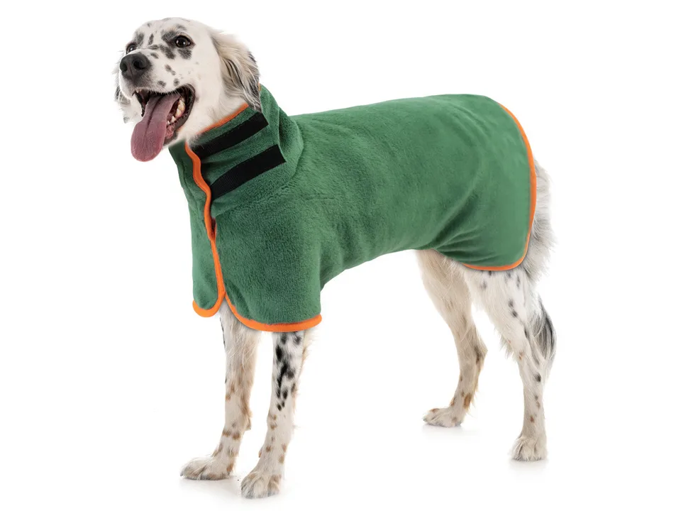 A spotted dog wearing a green and orange dog bathrobe.
