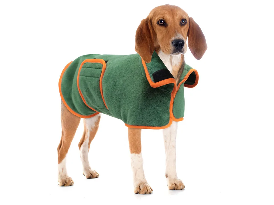 A brown and white dog wearing the green and orange dog bathrobe.