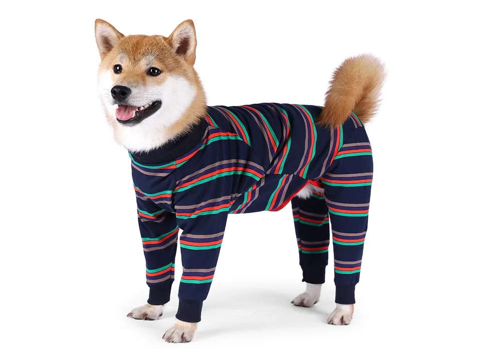 A Shiba Inu wearing striped full-body dog pajamas.