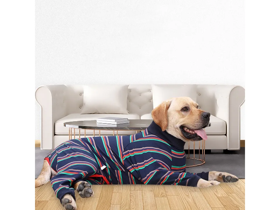 A dog lying on the floor wearing the striped pajamas.