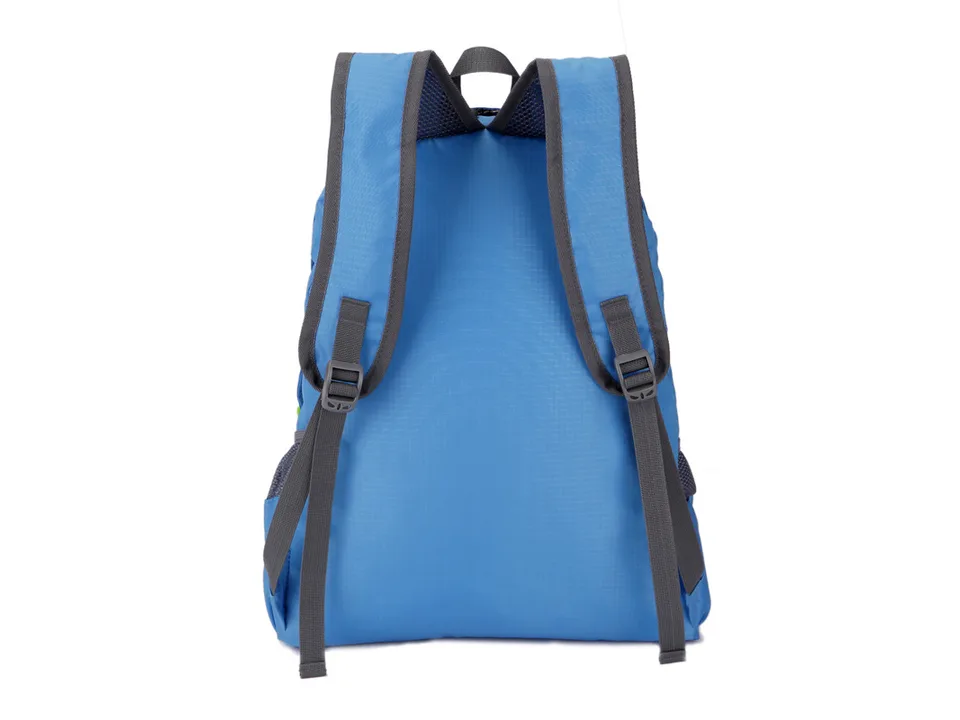 Back view of the blue backpack with adjustable straps