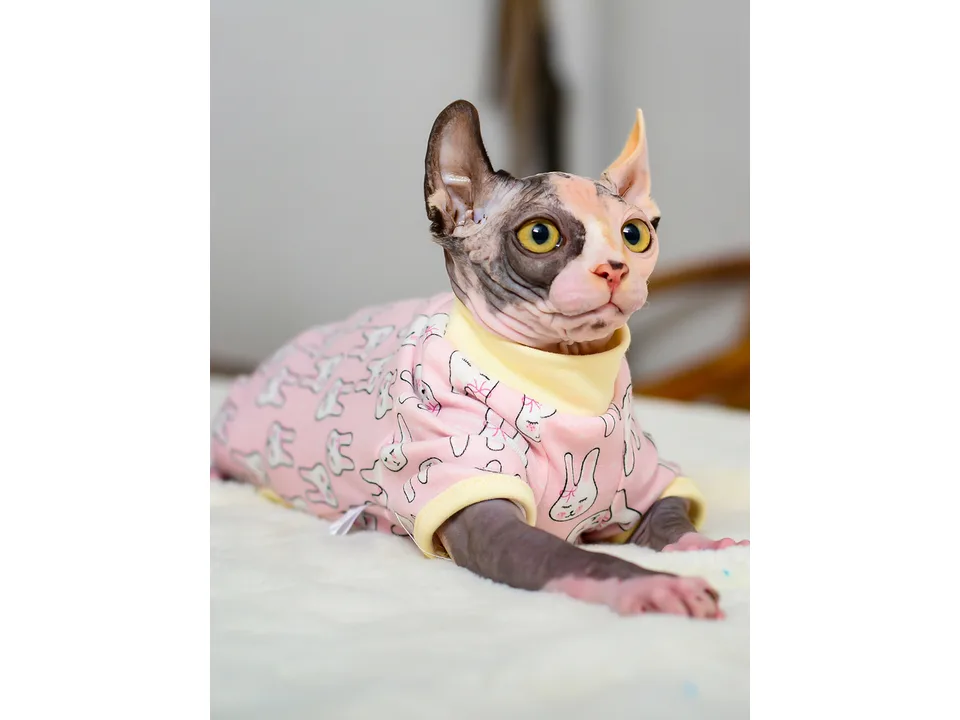A Sphynx cat wearing a pink t-shirt with a white rabbit pattern.