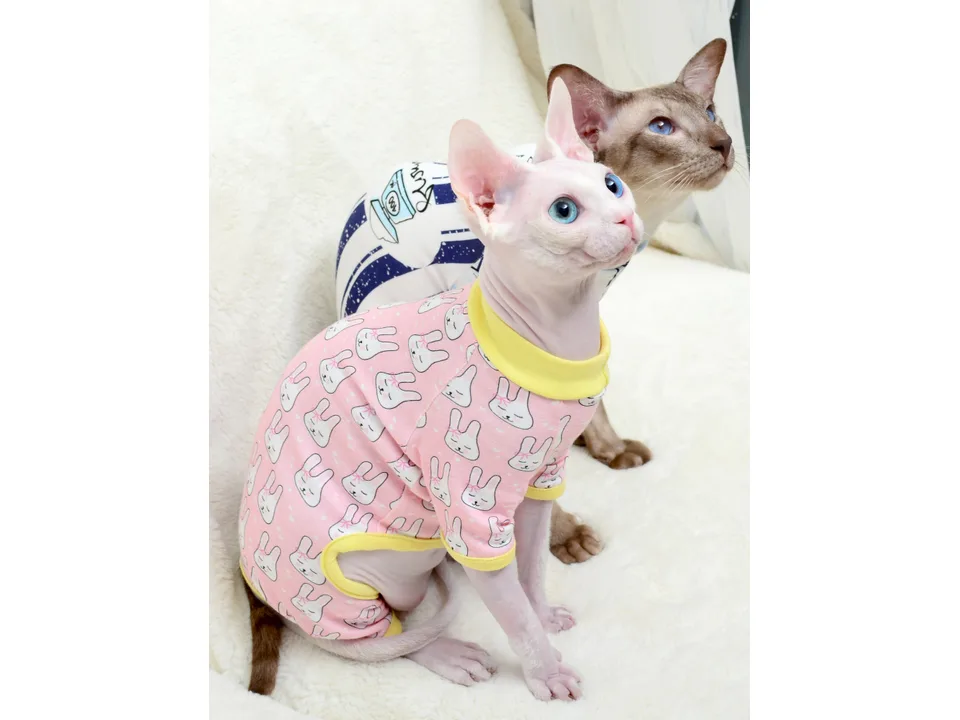 A Sphynx cat sitting while wearing a pink rabbit-patterned cat shirt.
