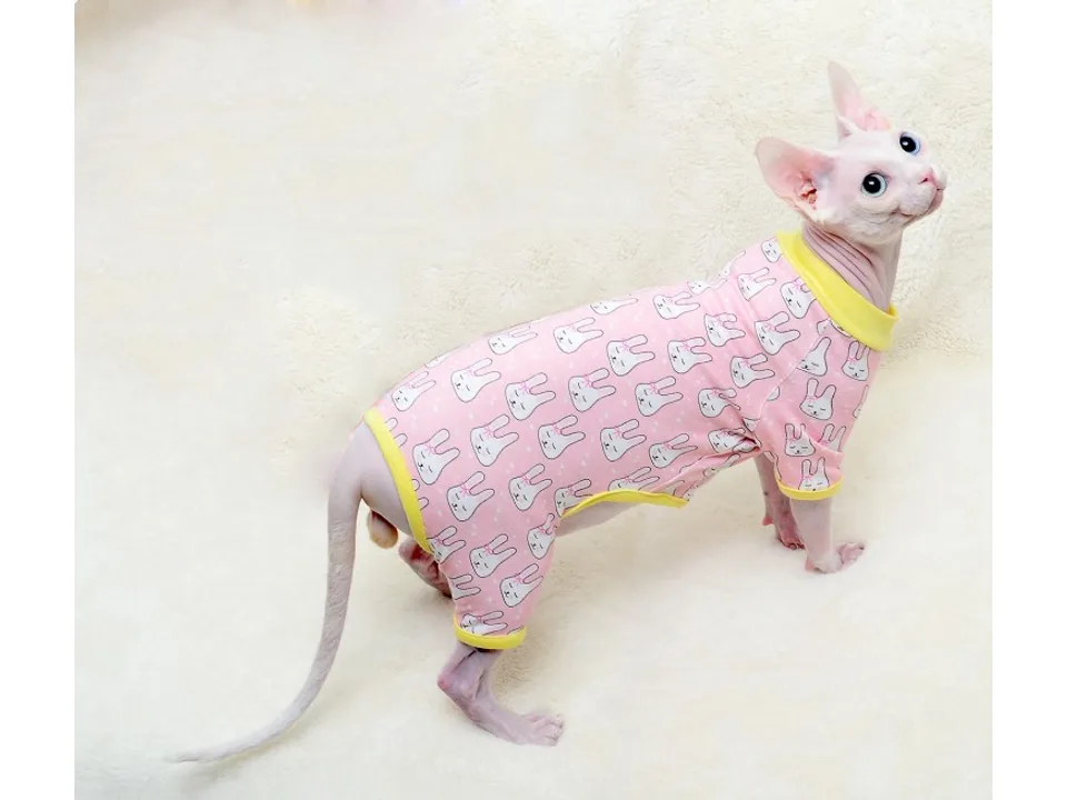 A rear view of a Sphynx cat wearing a pink rabbit-patterned shirt.