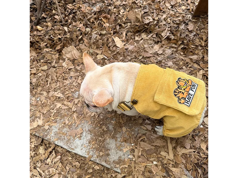 A side view of a French bulldog wearing a yellow corduroy jumpsuit.