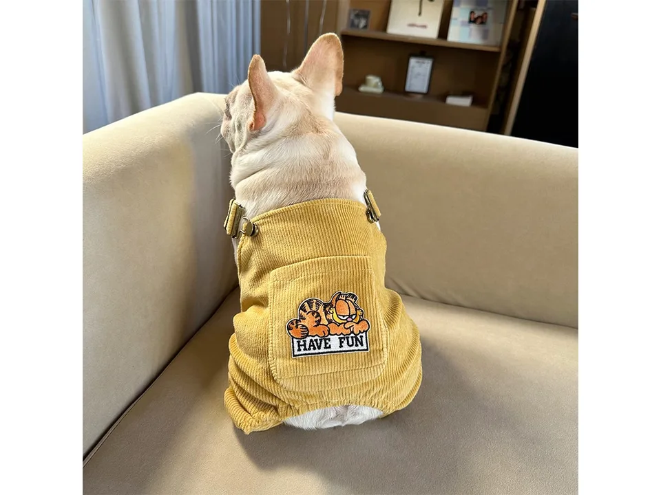 A French bulldog sitting on a sofa wearing a yellow corduroy jumpsuit.