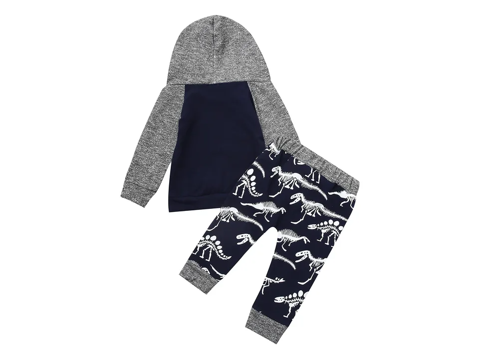 Back view of the boys dinosaur print sweatshirt and pants set.