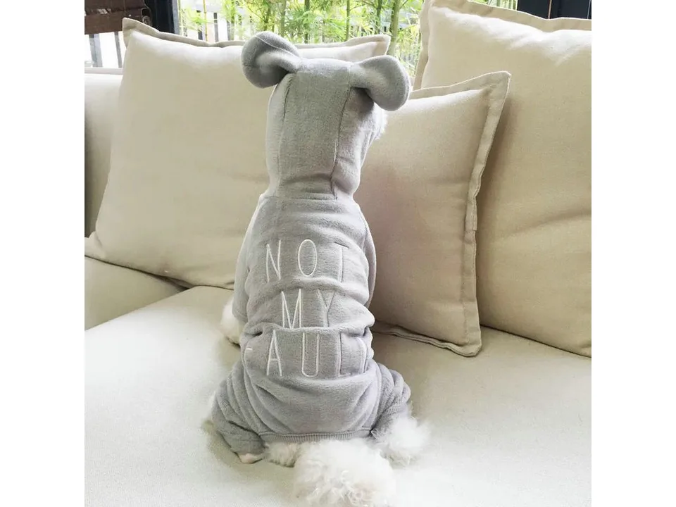 A dog wearing the grey hooded jumpsuit from behind.