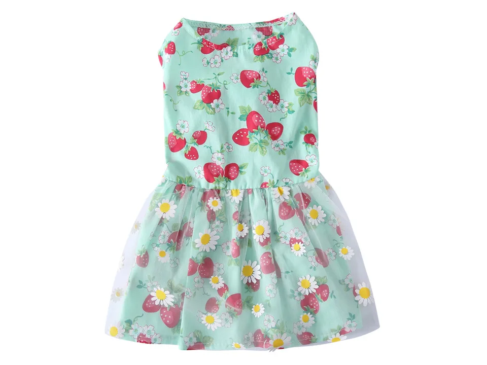 A sleeveless dog dress with a light green background and a strawberry and daisy print.