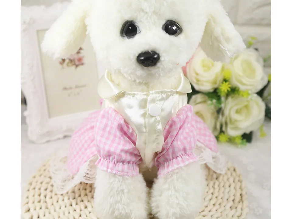 Front view of a small dog wearing a pink plaid skirt with a white collar.
