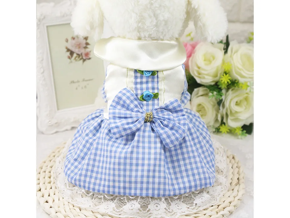 Back view of a small dog wearing a blue plaid skirt with a bow and lace trim.