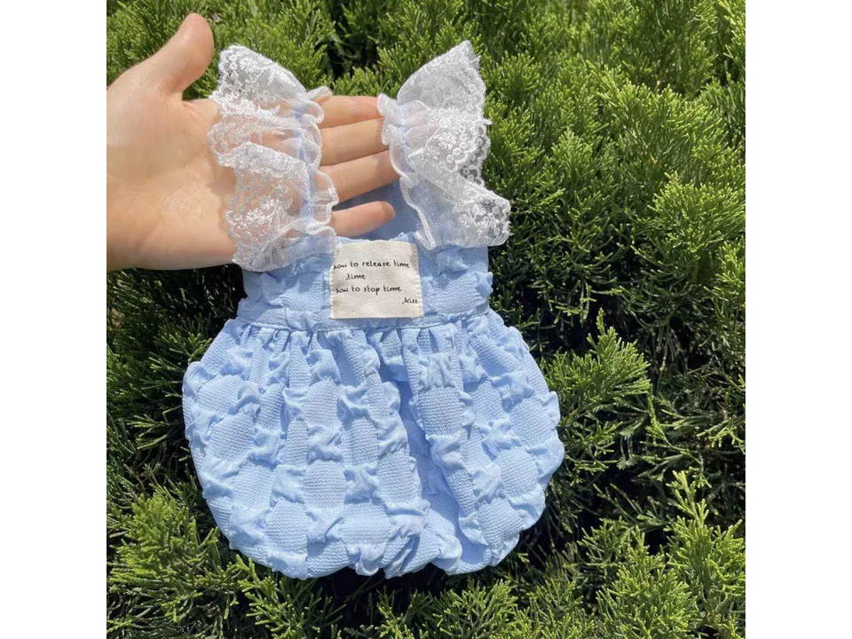 A hand holding up a blue pet suspender skirt with lace ruffles against a green background.