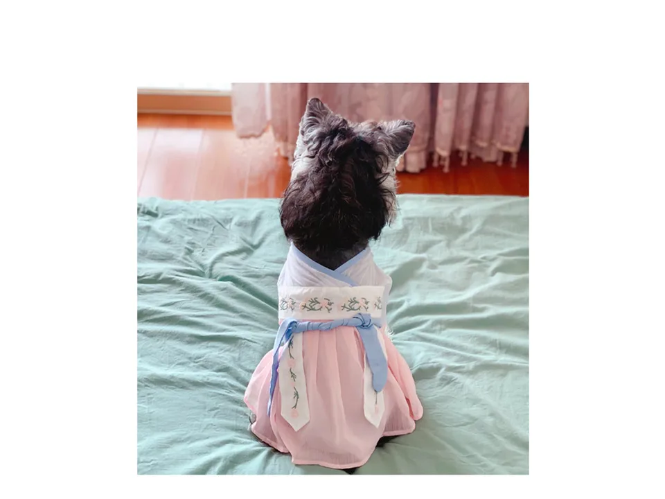 A small dog wearing a traditional style Hanfu dress, viewed from behind.